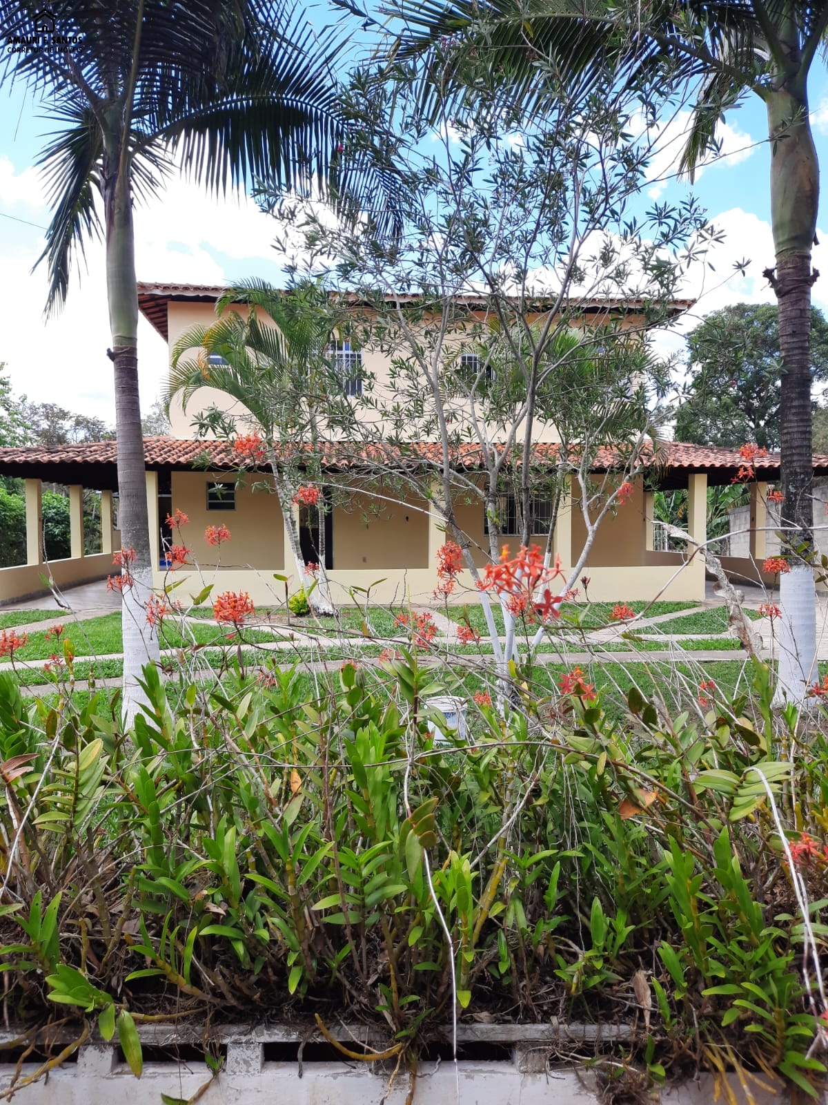 Chácara em , São Roque - Foto 12
